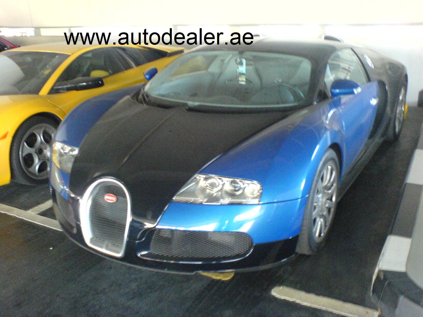 veyron2.jpg